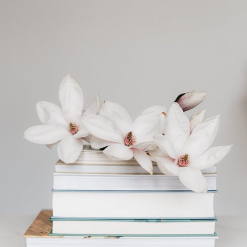 stack of books with magnolia flower on white table
